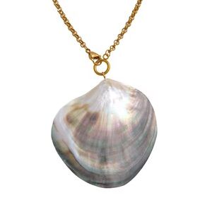 Gold plated Natural Shell Necklace Anthropologie